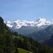 Monte Rosa ripreso dall'Alpenzù