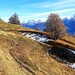 Près de Niwenalp, au fond le Leone et le massif du Weissmies