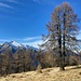 Herbst im Nordtessin – etwas vom Schönsten