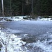 Dicke Eisdecke auf einem kleinen Tümpel am Waldrand