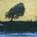 Ein Baum und unsere Silhouetten als Schattenbild auf der Rigelschwendi