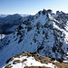 Wildseehörner