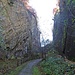 Der Weg führt durch die beeindruckende Wolfsschlucht hindurch.