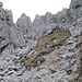 L’ambiente aspro e selvaggio di questo versante della Grignetta: ripidi canaloni, guglie, rocce calcaree sparse ovunque.