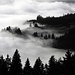 Malerischer November-Nebel