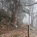 Aufstieg durch den Wald hoch zum Böstritt
