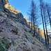 Descente depuis Elsaloch par la minuscule sente. On distingue à peine le mur en pierres.
