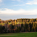 Stimmung am Nachmittag