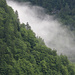 Brume matinale sur la forêt à Braunwald