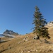 erstmals tritt unser Gipfelziel - vor der Alp Oberi Bire - auf ...
