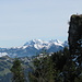 Blick im Abstieg vom Gross Aubrig zum Alpstein.