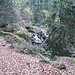 Am oberen Ende des Abstiegswegs entlang der Geltelbach-Wasserfälle.