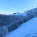 In der schattigen Nordwestflanke vom Schnebelhorn traversierte ich auf den Laubbergkamm. So konnte ich den Wiederaufstieg auf das Schnebelhorn umgehen. Zum Glück kannte ich diese Passage, da der Pfad unter Schnee nicht mehr zu sehen war. Bleibt man horizontal kommt man an der richtigen Stelle in den Waldeingang (Weidedurchlass).