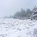 ...bis zum höchsten Punkt des Hundsrückens. Er ist ein weithin übersehener Berg mit wild-hochmooriger Gipfelkuppe, erst letzten Winter war ich zum ersten Mal hier und wusste schon, dass mich hier kein Fernblick erwartet (Nebel hin oder her).