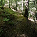 Leiternweg