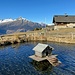 Puscett = schönste Alp der Schweiz?