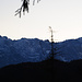 Alpspitze, Jubiläumsgrat, Zugspitze