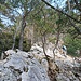 Der Klettergrat wird zum Wandergrat