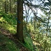 Auf dem Grat zwischen Hörndli und Buochserhorn angelangt