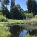 Vogelmoos: ein Naturschutzgebiet