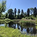 Vogelmoos: ein Naturschutzgebiet