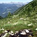 L’Alp de Mea, la meta di questa escursione. Sul lato opposto si vede bene il solco della Val Calanca.
