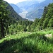 Discesa verso l’Alp de Comun, in basso la Val Mesolcina, dove dovremo arrivare.
