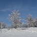 Am Berggasthaus Oberdörferberg. 