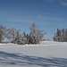 Am Berggasthaus Oberdörferberg. 