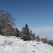 Auf dem Weg zum Oberdörferberg. 