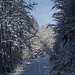 Im Abstieg zur Subigerberg.