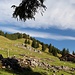 Almgelände unterhalb des Feichtecks