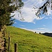 im Anstieg zum Feichteck