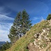 unterwegs zum Feichteck