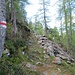 Questo è il tratto più bello di tutto il sentiero, ovvero quello che porta dall’Alp de Fora al Pian di Renten.