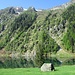 Dal lato opposto dei pascoli dell’Alpe del Lago, si vede il terrazzo roccioso che sostiene gli alpeggi, ormai abbandonati, dell’Alpe Vazzola e dell’Alpe d’Agnon, raggiungibili rispettivamente in 1 e 2 ore di cammino (+ 600 e + 700 m di dislivello)