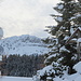 Schöne Winterstimmung auf Scheidegg