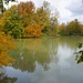 Herbstimpressionen am Hinterbrühler See