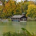 Herbstimpressionen am Hinterbrühler See