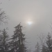 The sun was visible for a short time, but flurries kept coming out of the fog.