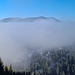 Beim Start im Tal war ich noch der Meinung, dass sich der Nebel so langsam lichtet - er zog aber eher in die Berge rein als aus ihnen raus