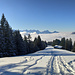 Im Abstieg zwischen Alp Egg und Talstation der Brittertanne Seilbahn