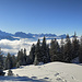 Im Abstieg zur Alp Looch