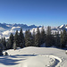 Im Aufstieg oberhalb der Alp Looch