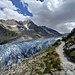 Der gewaltige Argentière Gletscher