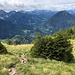 Im Aufstieg zum Freiberg / Setiče - Rückblick. Im Hintergrund versteckt sich der höchste Gipfel der Karawanken, Hochstuhl / Stol, in den Wolken (etwa mittig).