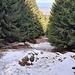 In der beschriebenen Waldschneise, der rutschigste Abschnitt 