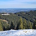 Blomberg gegenüber 