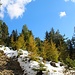 der Schnee wird weniger