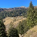 In der Waldtraverse nach Surda